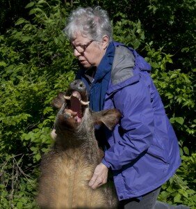 Linda convinces the boar to leave