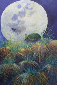 Moth, Turtle, Moon Linda Curtis